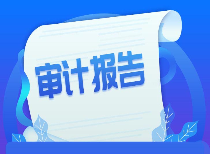 成都审计报告